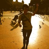 Chasing The Sun