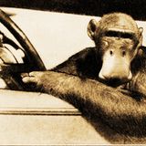 Turbo Tweet Ape Deluxe