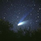 Estrellitas En La Selva ( Cumbia bass - Cumbia - South America - ZZK - Sol Selectas - Sabo )
