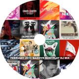 February 2015 Massive Ronyplay DJ Mix
