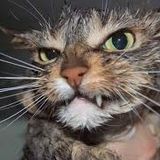 #VoUs êTes des AniMaux #1 mix by Dorian Parano