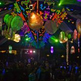ChillinBerlin // OZORA Festival, 08//2010 (Part1)