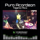 PURO ACORDEON TEJANO MIXX