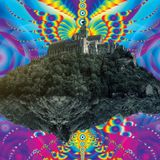 Zamek Festival- 8 August 2014, Mlynce, Czech Republic