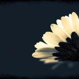 Progressive Feelings March 24, 2012