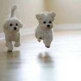 Popstep