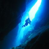 Diver