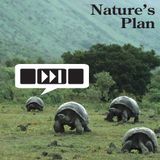 Nature's Plan