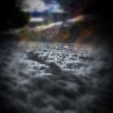 Mindmonic - Here Come The Drums - Thirty Thousand