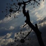 Victor Chelu pres. souLmaZe - Shifting roots