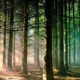 PLAYditation Utrecht 24-11-2014