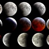 zenebou wolrd Objectif lune mars 2015