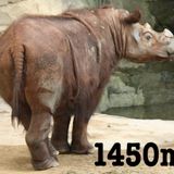 1450m_Moziq_Mix_"MC's_Inst"_2013/3