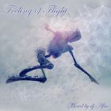 Feeling of Flight