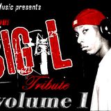 DJ Gneous "Big L" Tribute volume 1