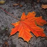 Khristian K - 2015 Autumn Mix