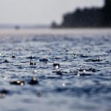 Rainy Saturday (05.09.2015)