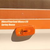 Vibes4YourSoul Mixes#29 - Spring House