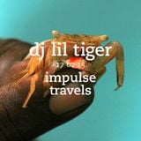 DJ LIL TIGER impulse mix. 17 february 2015 | whcr 90.3fm | traklife.com