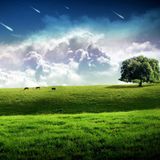 DJ Weisz's Uplifting Trance Mix vol.1