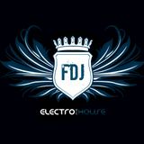 Electro House Mix - Frank