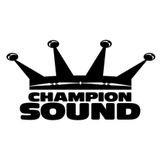 Mungo's Hi-Fi. Champion Sound New Years Eve 2010 Bristol