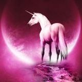 DJ NineLives - Pink Unicorns