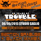 SECTION GRABUGE vs BLACK MAMBA Liveset @ 33 YEARS OF TROUBLE 6.6.2oI5