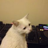 Frisky Show B018 Special 2