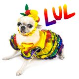 Carmen Trnzda /Like U Like na INMWT de Carnaval