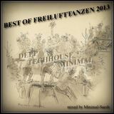 Minimal-Saesh Best of Freilufttanzen 2013