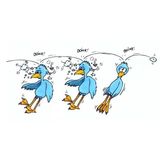 Wez Hall - 3birds1stone