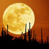 " Sunset moon " session