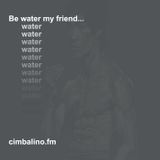 Be Water My Friend...