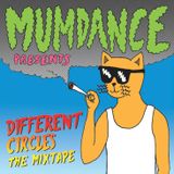 Mumdance - Different Circles Mixtape
