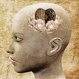 Emotionale Intelligenz By Ralle