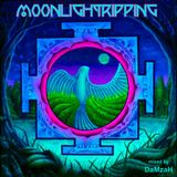 Moonlightripping