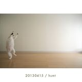 20130415