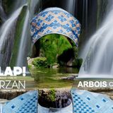 BASSCULTURE SPECIAL TARZAN VS MATT ALIAS LE TROU DE LA LUNE