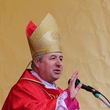 архієпископ Петро Мальчук - Проповідь під час служби у Вербну неділю (третій день 24 ДДМ)