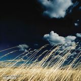 Breeze