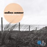 Endless Summer by Switch "Groov" Exp.