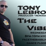 THE VIBE MAY 2013
