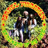 ISRAEL VIBRATION STRENGTH OF MY LIFE plus DUBS
