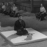 Ronin 01/05/2015