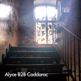 Alyce (Lumen) B2B Caddarac