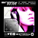 BINARY MIX @ LaBonneNouvelle mixed by BlackTheDog (Rennes- 2012)