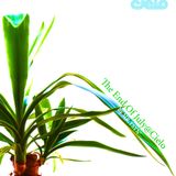 On Sun Sand by Mr.Tsyn' (2011)