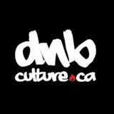 dNbCulture.ca Liquid Promo Mix