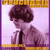 EIGHT MILES HIGH - PSYCHOTIC REACTION CLOUDCAST NO.2